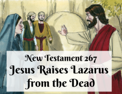 NT 267 - Jesus Raises Lazarus from the Dead